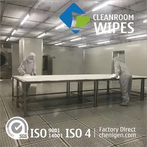 Customized Class 10 Large Polyester Wipers Cleanroom Wipes thumbnail-2