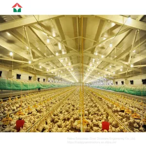 Steel Structure Chicken Houses for 1000 Chicken thumbnail-5