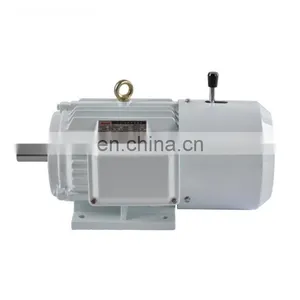 YVF2 Series Variable Frequency Adjustable-speed Converter-fed Three Phase Induction Motor thumbnail-1