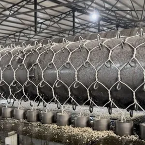 Galvanized Double Twist Steel Mesh Grid Structure Reinforced Mesh for Coastal Rockfall Protection Netting Factory Direct thumbnail-5
