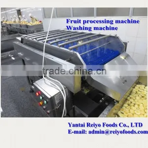 Fruits and Vegetables Cleaning Machine thumbnail-3