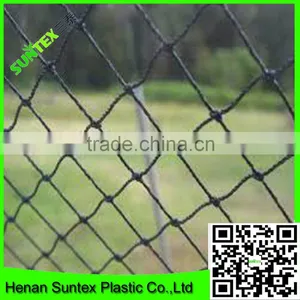 Supply Vineyard Anti Bird Net/bird Capture Nets With Low Price thumbnail-1