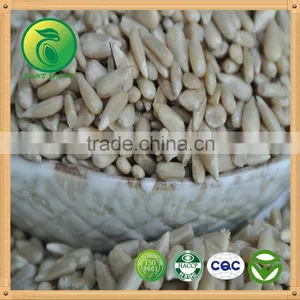 Bakery Sunflower Kernel, High Oil Content thumbnail-3