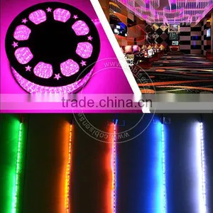 Hot Sale CE and RoHS 12V 24V Led Light Strips With Remote thumbnail-1
