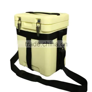 SCC BRAND Thermal Cooler Bag for Frozen Food thumbnail-2