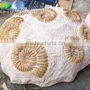 Hot Sale Customized Handmade Fiberglass Marine Fossils thumbnail-2