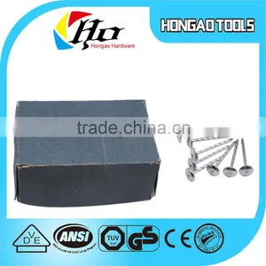 Hot Sale E-galvanized Umbrella Head Roofing Nails Export to Africa Quality Choice thumbnail-2