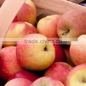 2015 Chinese Fresh Sweet Fuji Apple With Good Quality thumbnail-3