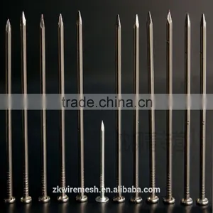 Common Nail/ Common Wire Nail/common Iron Nails thumbnail-6