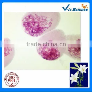High Quality Biological Botony Microscope Prepared Slide for Teaching thumbnail-1