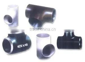 TEE thumbnail-1