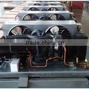 Commercial Kitchen Equipment Part Mini Refrigeration Units R404A Lanhai Boyard Horizontal Rotary Kompressor Replace Scroll thumbnail-5