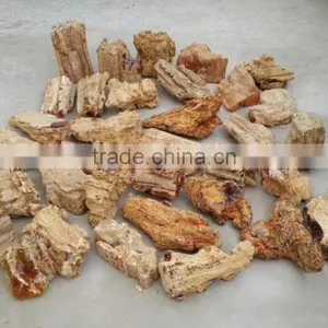 Colombian Amber (Copal) - Raw thumbnail-1