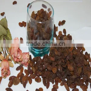 Xinijang Good Quality Seedless Sultanas Raisin thumbnail-1