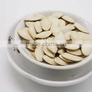 Shine Skin Pumpkin Seeds thumbnail-2