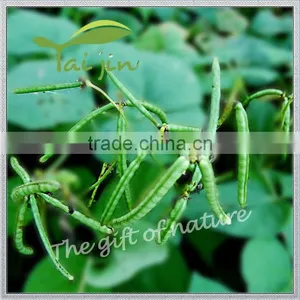 2015 Chinese New Crop Green Mung Bean,Green Mung Bean Seed thumbnail-3