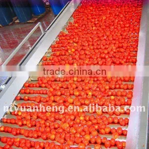 70G-4500G China Hot Sell Price Canned Tomato Paste 28-30%brix Plant thumbnail-5