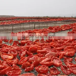 Red Sweet Dried Tomatoes For Wholesale Price Red Tomato thumbnail-4