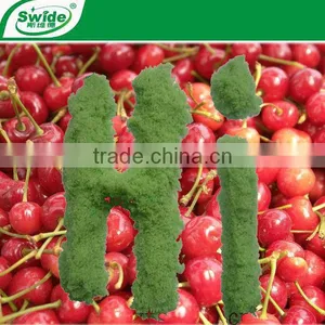 Compound Fertilizer NPK12-24-12 thumbnail-1
