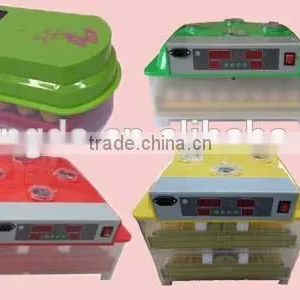 TD-48 Full Automatic Mini Incubator for Parrot thumbnail-5
