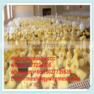Plastic Support Netting / Wire Mesh,trellis Netting ( Factory Price) thumbnail-5