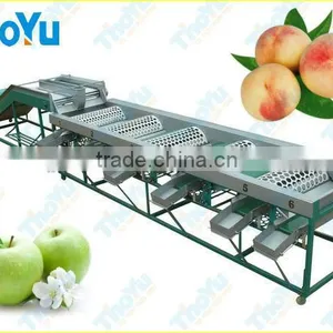 THOYU Brand Stainless Steel Apple Grading Sorting Machine by Diameter(0086 15903677328) thumbnail-1