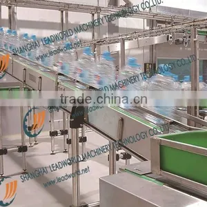Chain Conveyor For Bottle Packs NTS thumbnail-1