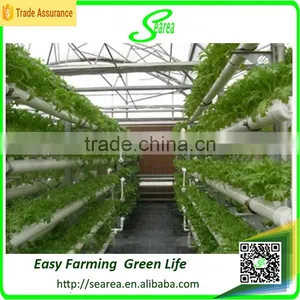 Culture Hydroponic Mushrooms Greenhouse thumbnail-1