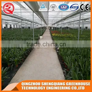 Factory Direct Heating to Sell High Quality Venlo Glass Greenhouse thumbnail-4