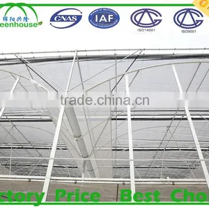 PC Sheet Cover Material and Large Size Tunnel Commercial Greenhouse thumbnail-1