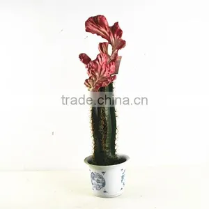 SJ3001102 Artificial Big Grafted Cactus for Landscaping Decoration thumbnail-3