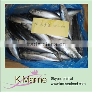 300-500g Sea Frozen Pacific Mackerel wr thumbnail-1