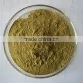 Andrographis Paniculata Extract thumbnail-1