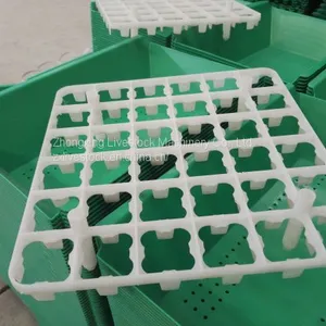 Plastic Egg Tray (chicken Eggs, Duck Eggs, Breeding Eggs) thumbnail-4