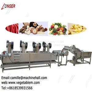 Tomato Washer and Dryer|Fruit and Vegetable Washing and Drying Machine|Strawberry Cleaning Line thumbnail-5