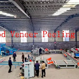 Automatic Plywood Production Making Machine Line thumbnail-1