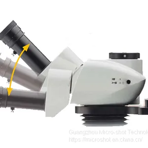 Scientific Grade Stereo-fluorescence Microscope MZX81 thumbnail-4