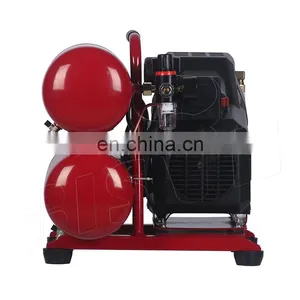 Bison China 10Bar Direct Driven Piston 20L Best Air Compressors Price thumbnail-2