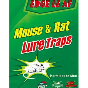 Strong Adhesive Pest Control 65g Edge Leaf Jh17 Pest Control Rat Sticky Board Mouse Glue Trap thumbnail-1