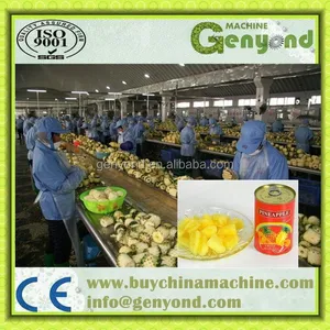 Commercial Canned Pineapple Process Line / Pineapple Slices Canning Machine thumbnail-6