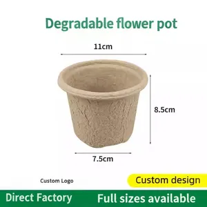 Biodegradable Paper Pulp Seedling Tray,30 Cells, 128cell,144cel Seeding Tray, thumbnail-5