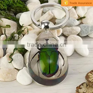 Real Bug Flower Sea Horse Scorpion Wholesale Metal Key Chain Ring thumbnail-3
