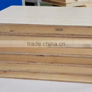 Structural Hardwood Blockboard 2440 x 1220 x 12/18mm FSC Certificated thumbnail-4