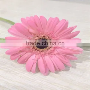 Fresh Cut Flower Of Stem 45-60 cm Gerbera Popular Wholesale thumbnail-1