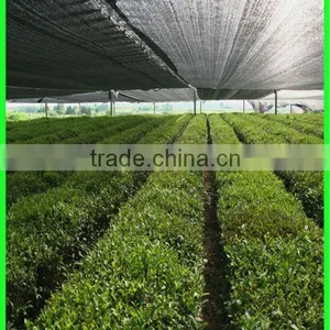 High Quality Agricultural Green Sun Shade Net With the Shade Rate From 20% to 95% thumbnail-3