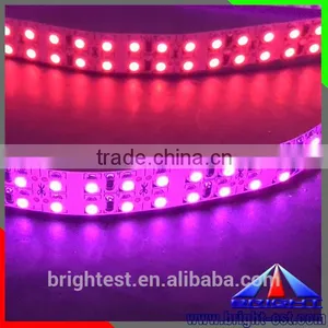 SMD 3528 CCT Adjustable Pink Color LED Strip Light IP20 12V Led Lights Double PCB High Brightness Decoration Lighting thumbnail-1