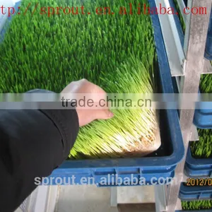 Farm Favorite Green Organic Fodder Growing Machine thumbnail-2
