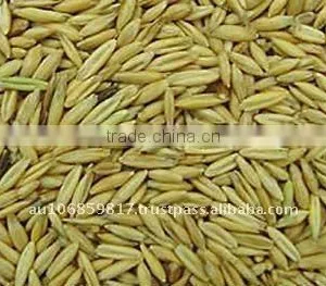 QATS - KILN DRIED HULLED OATS thumbnail-1