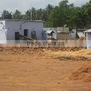 Natural Coco Peat/Coco Pith/Coir Products thumbnail-5