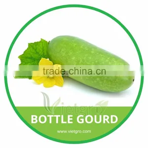 HIGH QUALITY FRESH BOTTLE GOURD thumbnail-1